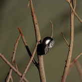 Black & Silver Studs